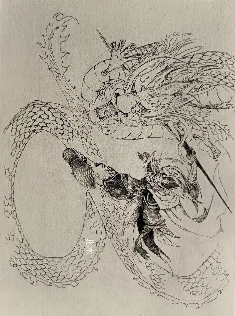 天翔之龙#手绘 #速写 #钢笔画 #王者荣耀赵云 - 抖音