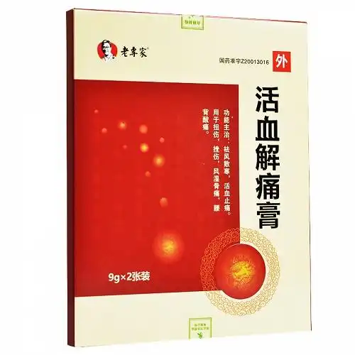 老专家活血解痛膏9g2张