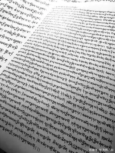 以此为生,精于此道,满背藏文心经