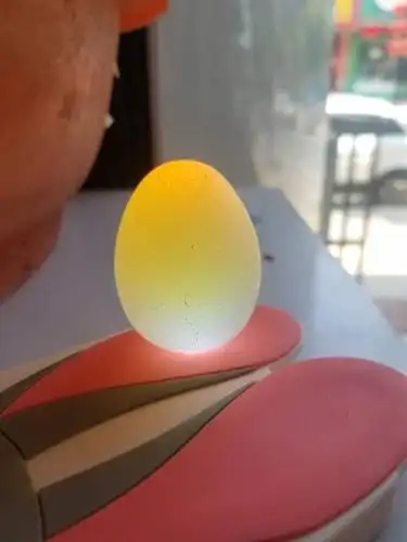 鸡蛋状的石头是什么