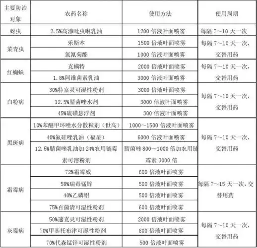 切花月季设施栽培技术规程