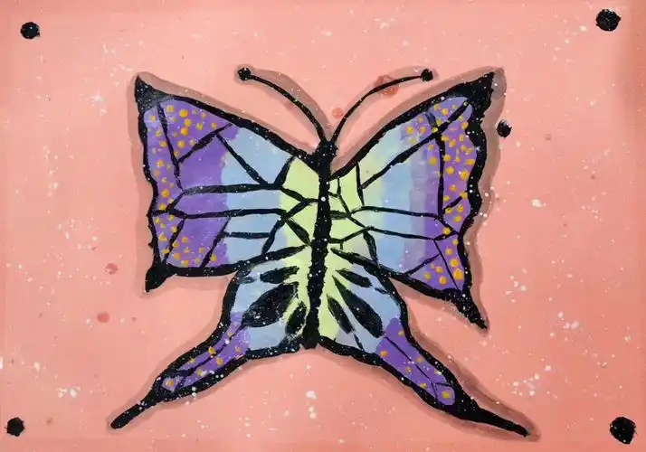 对称图形蝴蝶03