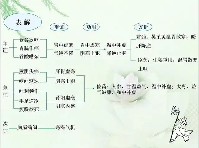 吴茱萸汤古代经典名方1005