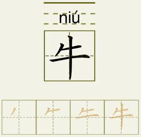 牛字的拼音和书写笔画的图片展示