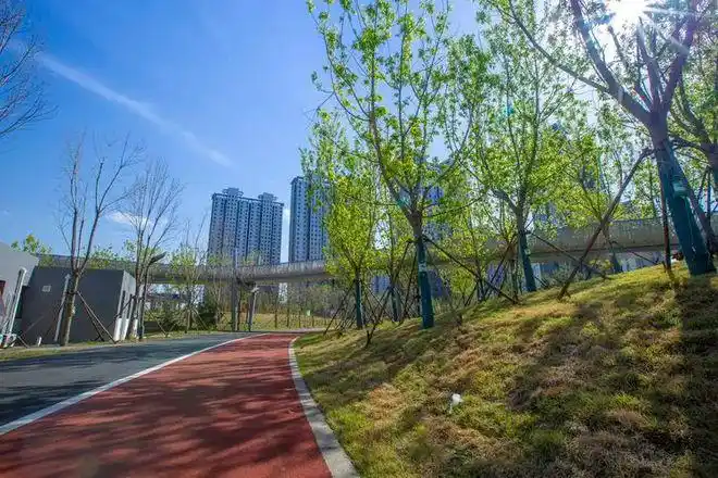 唐山市人民公园五一假期盛妆迎客