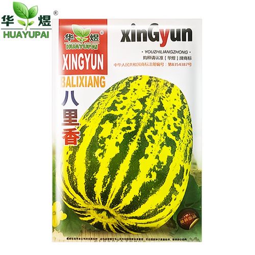 千特华煜蔬菜种子八里香甜瓜种子种籽糖度18度早熟香甜八里香甜瓜种子