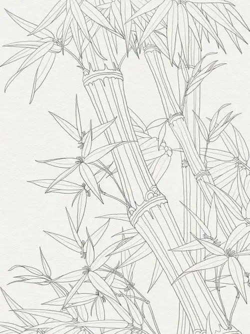 新手初学手绘插画线稿日常练习步骤分解竹