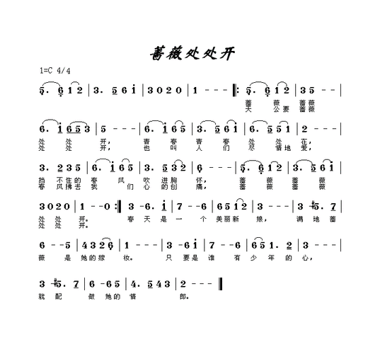 蔷薇处处开简谱