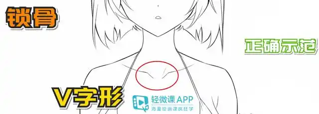 动漫人物脖子的锁骨怎么画