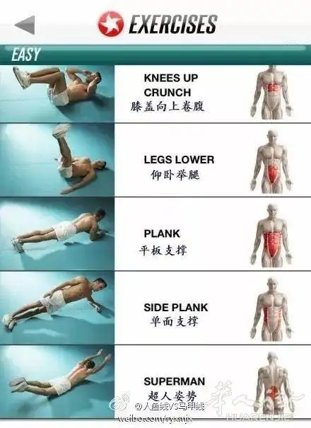 大家一起来虐腹吧