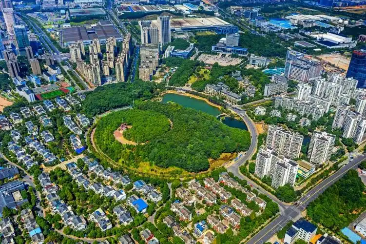 行家论"谷"攀高逐新打造"五好"园区——长沙高新区党工委书记 周庆年