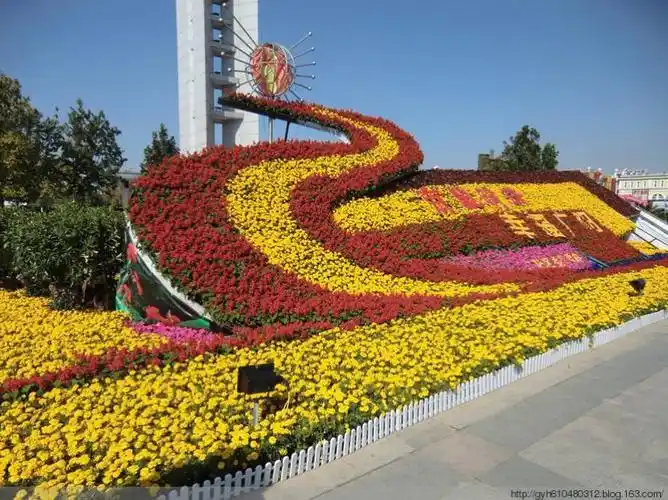 其它 国庆摆花系列篇 写美篇摆花造型设计,本公司常年销售各类当年生