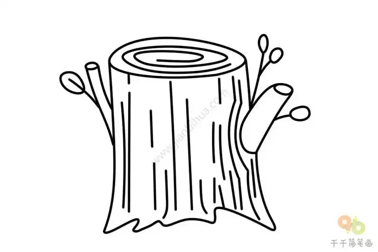 教你画树墩简笔画
