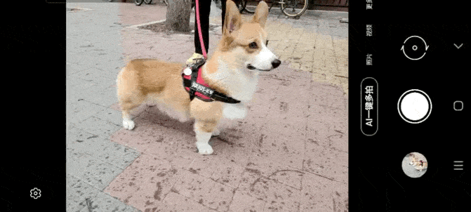 全新ai拍摄体验加持 三星galaxy s20 5g系列轻松记录生活精彩瞬间