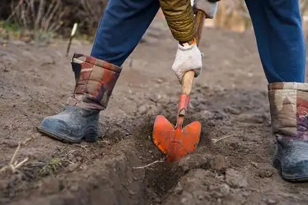 工人在菜园里用铁锹挖黑土,男人在农田里铲土,农业和艰苦的劳动观念