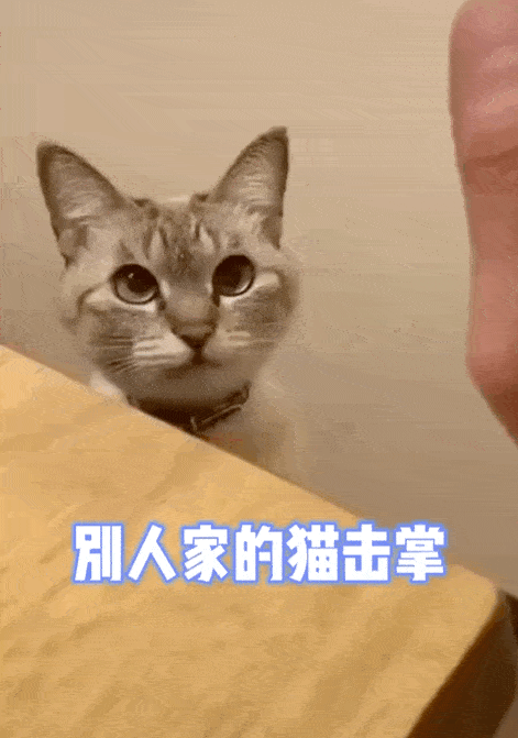 471_671竖版 竖屏gif 动态图 动图