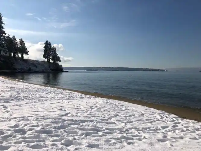 阳春白雪-银色沙滩(stanley park)2019.2.13情人节快乐!