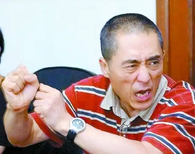 张艺谋的愤怒:我曾感觉自己是张伟平的"家奴",全家住小产权房_北京