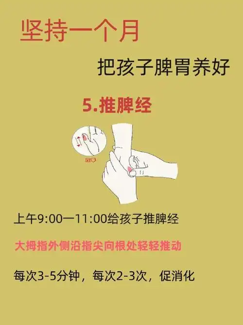 坚持一个月养好宝宝脾胃,长高长肉长身体75||养宝宝就是养脾胃,脾是