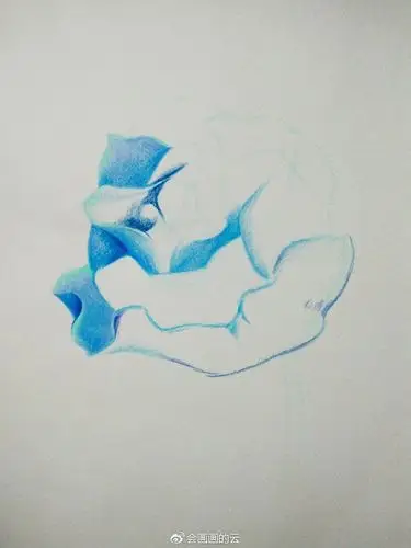 再用深一些的蓝色从花瓣根部加深;第一步:浅蓝色画玫瑰的外形;准备