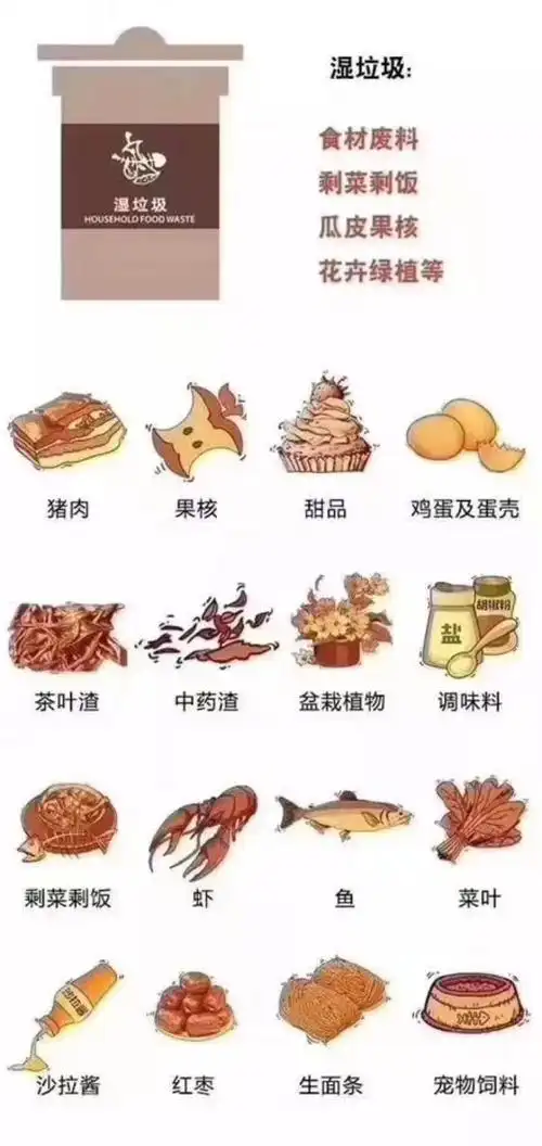 食材废料,剩菜剩饭,瓜皮果核,花卉绿植等称之为湿垃圾