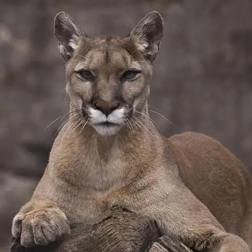 人文,休闲,旅游