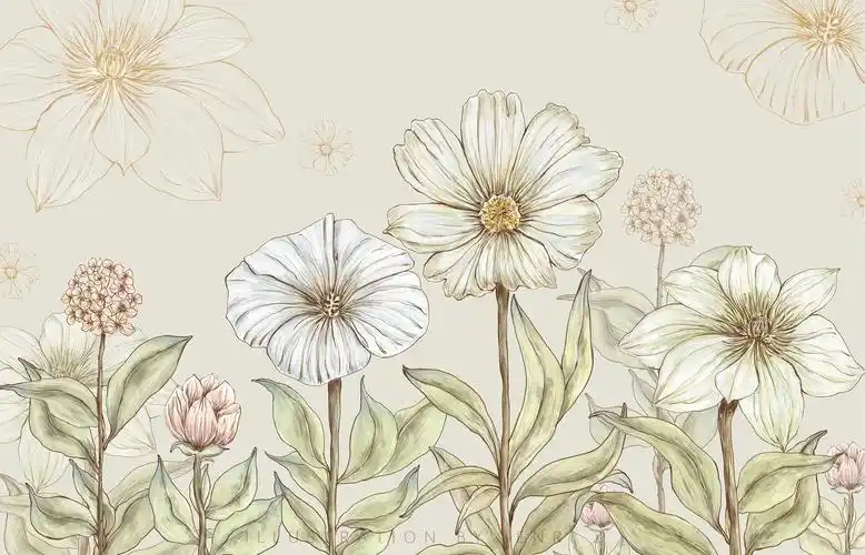 秘密花园|插画|商业插画|jenriz - 原创作品 - 站酷 (zcool)