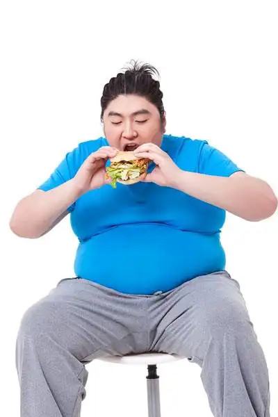 胖子吃汉堡