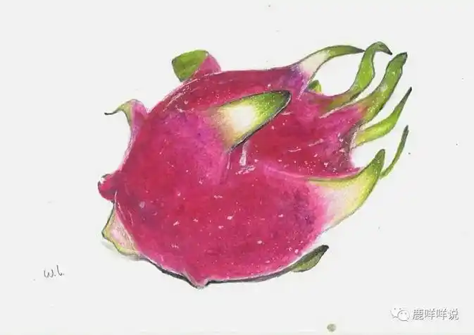 火龙果的简笔画火龙果的简笔画怎么画