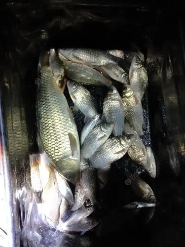 东南风真好啊! - 钓鱼之家