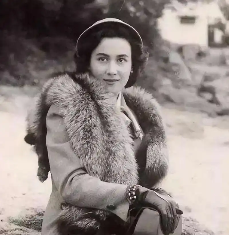 回顾赌王四房太太:年轻时个个绝美,有人梦碎,有人成赢家