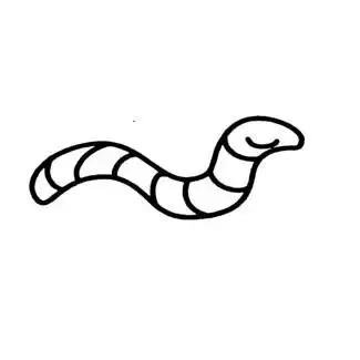 蚯蚓简笔画昆虫 蚯蚓昆虫简笔画步骤图片大全,简笔画图片