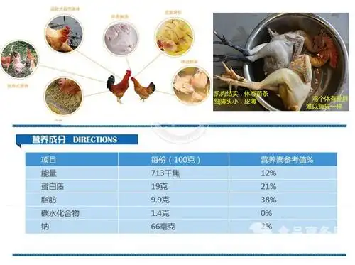 柴鸡营养成分正心正品原野鸡从选择种鸡,孵化,喂养,出栏等均有严格