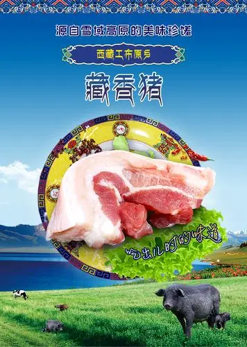 西藏林芝藏香猪 正宗土猪肉 原生态高营养 新鲜宰杀