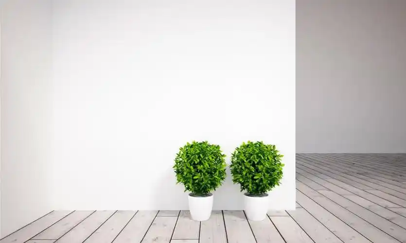 白墙脏了别用水刷,从保洁公司那偷学一招,擦完像新墙一样白净