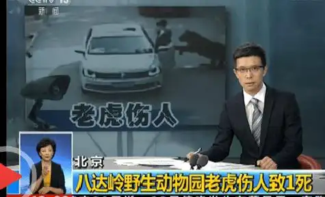 八达岭野生动物园:伤人老虎被处死是谣言