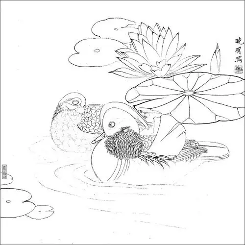 只羡鸳鸯不羡仙～白描