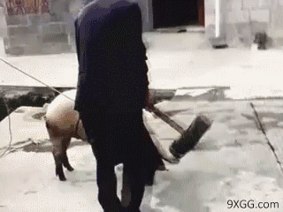 搞笑内涵:为什么情侣约会要带着刀?