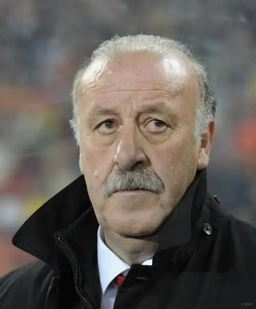 博斯克2016年欧洲杯后或离任 称西班牙未陷危机