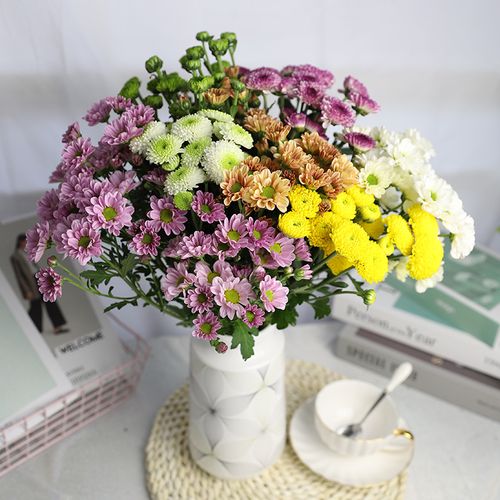 鲜花小雏菊花束云南直发昆明花卉基地地直批鲜鲜花速递同城