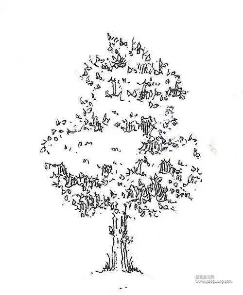 速写树木怎么画风景速写中配景植物素材高光网