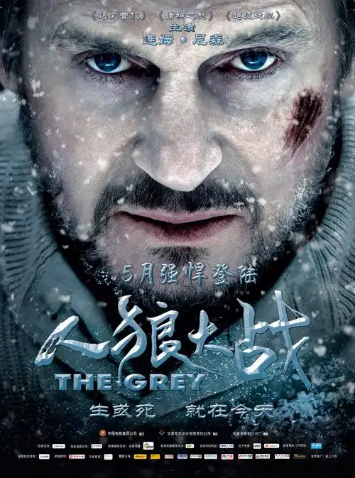 "the grey 2011 720p bluray dd5 1 x264-don" 种子详情 :: 清影pt