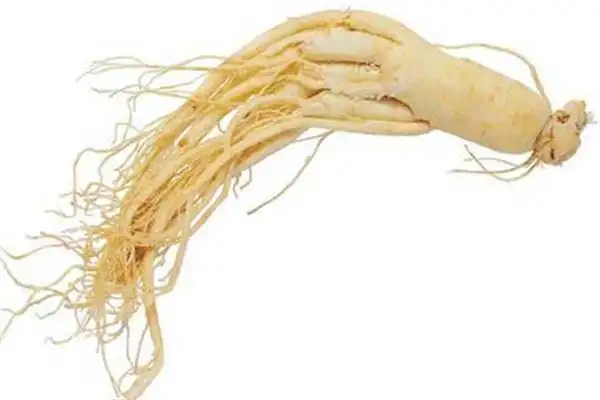 人参夏季可以喝吗 人参夏季怎么吃