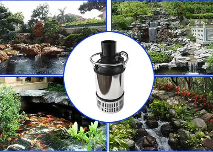 景观水池专用循环水泵不锈钢流量鱼池水循环过滤潜水泵