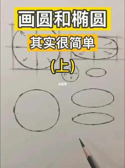 画圆和椭圆素描基础入门教程零基础学素描