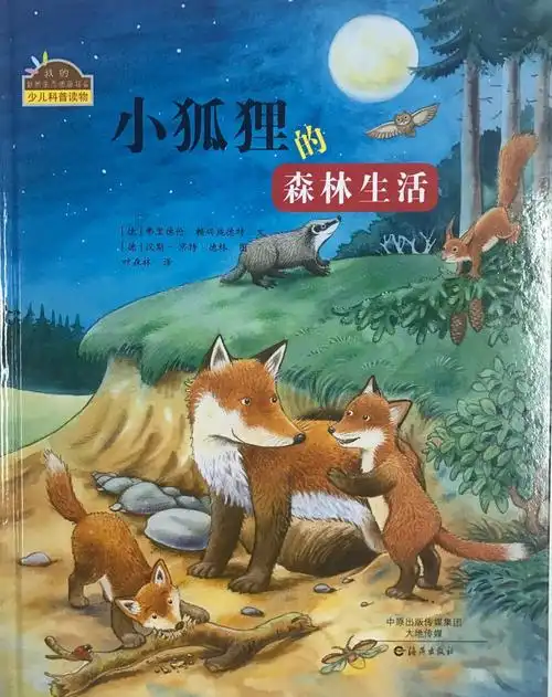 小狐狸的森林生活