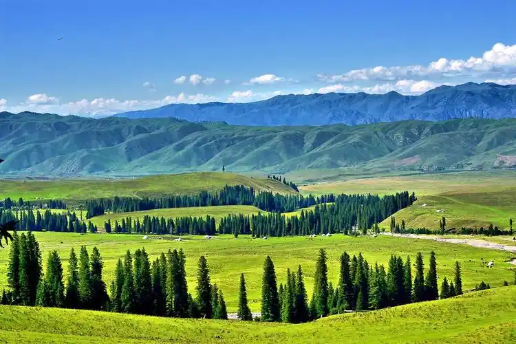 新疆那拉提空中草原