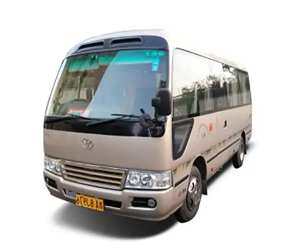 19座商务客车包车