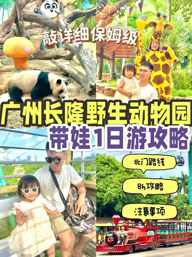 广州长隆野生动物园978h亲子游保姆级攻略73 娃2岁生日,带娃去