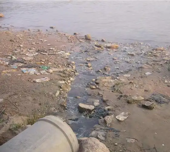 破坏生态环境要负什么责任?《民法典》告诉你